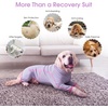 image:imageLeLePet Surgery Suit for Dogs Full Body Surgery Suit for Dogs Purple SPurple