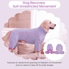 image:imageLeLePet Surgery Suit for Dogs Full Body Surgery Suit for Dogs Purple SPurple