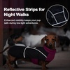 image:imageLelepet Dachshund Coat Waterproof Reflective Dog Coat for Small DogsPurple
