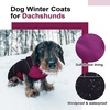 image:imageLelepet Dachshund Coat Waterproof Reflective Dog Coat for Small DogsPurple