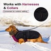 image:imageLelepet Dachshund Coat Waterproof Reflective Dog Coat for Small DogsPurple