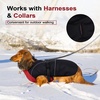 image:imageLelepet Dachshund Coat Waterproof Reflective Dog Coat for Small DogsRed