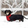 image:imageLelepet Dachshund Coat Waterproof Reflective Dog Coat for Small DogsRed