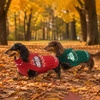 image:imageLelepet Dachshund Sweater with Hood Knit Dog Sweaters for Small Dogs XSXLGreen