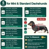 image:imageLelepet Dachshund Sweater with Hood Knit Dog Sweaters for Small Dogs XSXLGreen