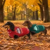 image:imageLelepet Dachshund Sweater with Hood Knit Dog Sweaters for Small Dogs XSXLRed