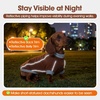 image:imageLelepet Dachshund SweaterWarm Dog Sweater for Small Dogs S BrownBrown