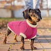 image:imageLelepet Dachshund SweaterWarm Dog Sweater for Small Dogs S BrownRose Red