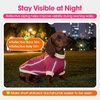 image:imageLelepet Dachshund SweaterWarm Dog Sweater for Small Dogs S BrownRose Red