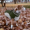 image:imageLelepet Dog Coat Warm Dog Winter Coat Waterproof Dogs Jacket with HarnessArmy Green