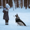 image:imageLelepet Dog Coat Warm Dog Winter Coat Waterproof Dogs Jacket with HarnessBlack