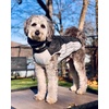 image:imageLelepet Dog Coat Warm Dog Winter Coat Waterproof Dogs Jacket with HarnessBlack