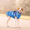 image:imageLelepet Dog Coat Warm Dog Winter Coat Waterproof Dogs Jacket with HarnessBlue Camo
