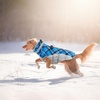 image:imageLelepet Dog Coat Warm Dog Winter Coat Waterproof Dogs Jacket with HarnessBlue Plaid