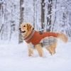 image:imageLelepet Dog Coat Warm Dog Winter Coat Waterproof Dogs Jacket with HarnessBrown