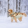 image:imageLelepet Dog Coat Warm Dog Winter Coat Waterproof Dogs Jacket with HarnessBrown Plaid