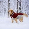 image:imageLelepet Dog Coat Warm Dog Winter Coat Waterproof Dogs Jacket with HarnessBurgundy