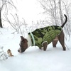 image:imageLelepet Dog Coat Warm Dog Winter Coat Waterproof Dogs Jacket with HarnessCamo