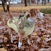 image:imageLelepet Dog Coat Warm Dog Winter Coat Waterproof Dogs Jacket with HarnessDesert Camo