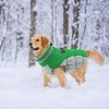 image:imageLelepet Dog Coat Warm Dog Winter Coat Waterproof Dogs Jacket with HarnessGreen