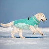 image:imageLelepet Dog Coat Warm Dog Winter Coat Waterproof Dogs Jacket with HarnessNeo Mint