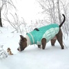 image:imageLelepet Dog Coat Warm Dog Winter Coat Waterproof Dogs Jacket with HarnessNeo Mint