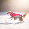 image:imageLelepet Dog Coat Warm Dog Winter Coat Waterproof Dogs Jacket with HarnessNeon Pink