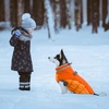 image:imageLelepet Dog Coat Warm Dog Winter Coat Waterproof Dogs Jacket with HarnessOrange