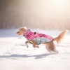 image:imageLelepet Dog Coat Warm Dog Winter Coat Waterproof Dogs Jacket with HarnessPIink Plaid