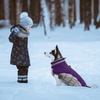 image:imageLelepet Dog Coat Warm Dog Winter Coat Waterproof Dogs Jacket with HarnessPurple
