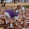 image:imageLelepet Dog Coat Warm Dog Winter Coat Waterproof Dogs Jacket with HarnessPurple