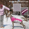 image:imageLelepet Dog Coat Warm Dog Winter Coat Waterproof Dogs Jacket with HarnessRose Red