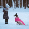 image:imageLelepet Dog Coat Warm Dog Winter Coat Waterproof Dogs Jacket with HarnessRose Red