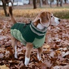 image:imageLelepet Dog Coat Warm Dog Winter Coat Waterproof Dogs Jacket with HarnessTeal Green