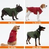 image:imageLelepet Dog Coat Warm Dog Winter Coat Waterproof Reflective Coats for DogsRed