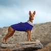 image:imageLelepet Dog Coat Waterproof Dog Jacket Fleece Vest with Adjustable BuckleBlue
