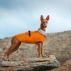 image:imageLelepet Dog Coat Waterproof Dog Jacket Fleece Vest with Adjustable BuckleOrange