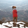 image:imageLelepet Dog Coat Waterproof Dog Jacket Fleece Vest with Adjustable BuckleRed