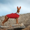 image:imageLelepet Dog Coat Waterproof Dog Jacket Fleece Vest with Adjustable BuckleRed