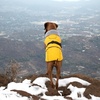 image:imageLelepet Dog Coat Waterproof Dog Jacket Fleece Vest with Adjustable BuckleYellow