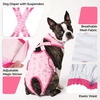 image:imageLelepet Dog Diapers Female Washable Reusable Dog in Heat Diaper L YellowPink