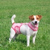 image:imageLelepet Dog Diapers Female Washable Reusable Dog in Heat Diaper L YellowPink