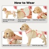 image:imageLelepet Dog Diapers Female Washable Reusable Dog in Heat Diaper L YellowYellow