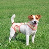 image:imageLelepet Dog Diapers Female Washable Reusable Dog in Heat Diaper L YellowYellow