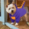 image:imageLelepet Dog Dinosaur Costume Large Dog Halloween Costume Warm Fleece HoodiePurple