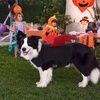 image:imageLelepet Dog Halloween Costume Bat Wing Halloween Pet Costume Black SBlack