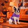 image:imageLelepet Dog Halloween Costume Bat Wing Halloween Pet Costume Black SPurple