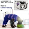 image:imageLelepet Dog Recovery Suit SpayNeuter Surgery Onesie for Dogs Pink XLPurple