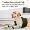 image:imageLelepet Dog Recovery Suit for Front Legs Dog Sleeve to Stop Licking Black LArmy Green