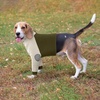 image:imageLelepet Dog Recovery Suit for Front Legs Dog Sleeve to Stop Licking Black LArmy Green